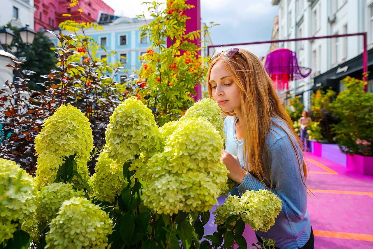 Адвокатские кабинеты Широковой Л.А. и Алиевой Э.Х. фото 1